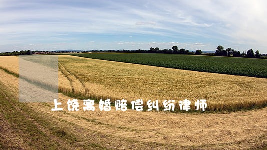 上饶离婚赔偿纠纷律师