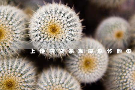 上饶网贷逾期停息分期申请条件 上饶网贷逾期停息分期申请条件