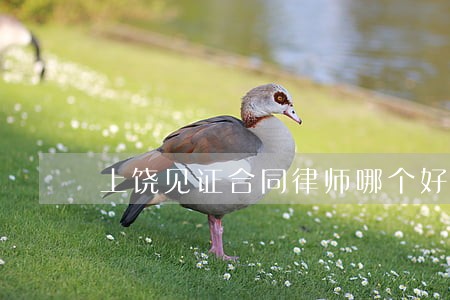 上饶见证合同律师哪个好 上饶见证合同律师哪个好