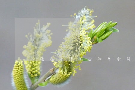 上饶违法停车告知单会罚款吗