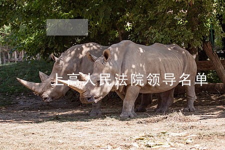 上高人民法院领导名单 上高人民法院领导名单