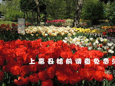 上高县婚前调查免费法律咨询热线 上高县婚前调查免费法律咨询热线