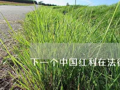 下一个中国红利在法律领域