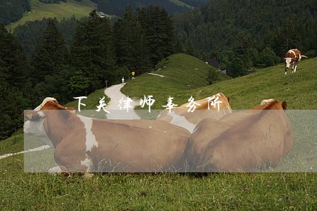 下关律师事务所 下关律师事务所