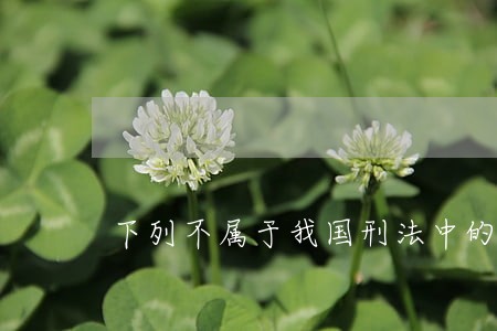 下列不属于我国刑法中的附加刑的是 下列不属于我国刑法中的附加刑的是