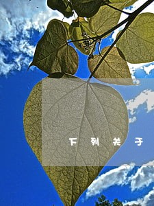 下列关于税法与其他法律关系