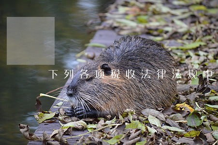 下列各项税收法律法规中 下列各项税收法律法规中