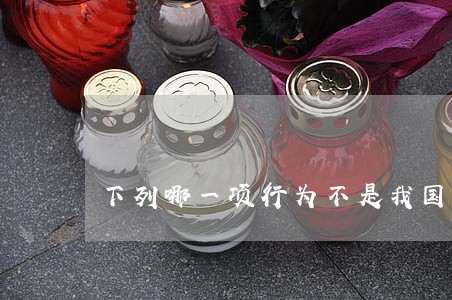 下列哪一项行为不是我国刑法规定的