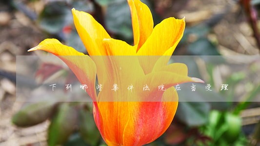 下列哪些案件法院应当受理 下列哪些案件法院应当受理