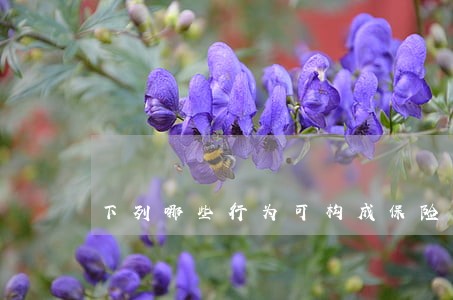 下列哪些行为可构成保险诈骗罪 下列哪些行为可构成保险诈骗罪