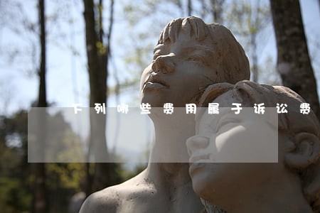 下列哪些费用属于诉讼费用 下列哪些费用属于诉讼费用