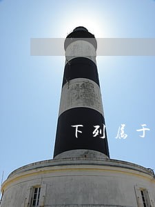 下列属于公司法的有 下列属于公司法的有