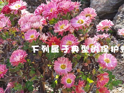 下列属于典型的保护性法律关系的是