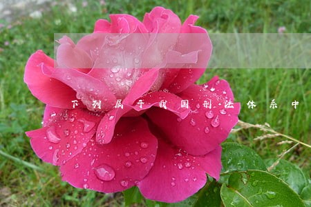 下列属于我国刑法体系中主刑的有 下列属于我国刑法体系中主刑的有