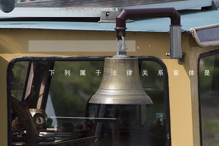 下列属于法律关系客体是