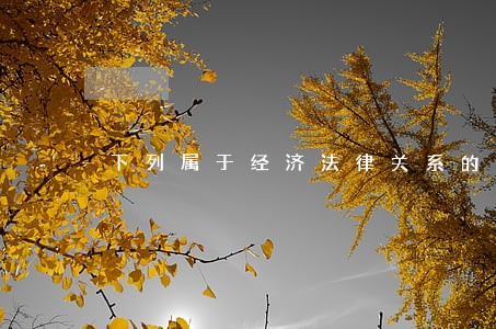 下列属于经济法律关系的内容的是 下列属于经济法律关系的内容的是