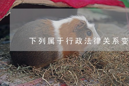 下列属于行政法律关系变更的是 下列属于行政法律关系变更的是