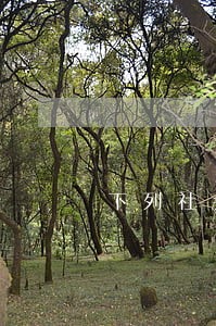 下列社会关系由民法调整的是 下列社会关系由民法调整的是
