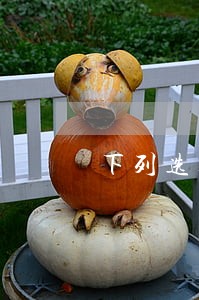下列选项不是秦朝时期军事法规