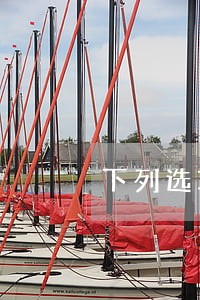 下列选项中适用诉讼时效规定 下列选项中适用诉讼时效规定