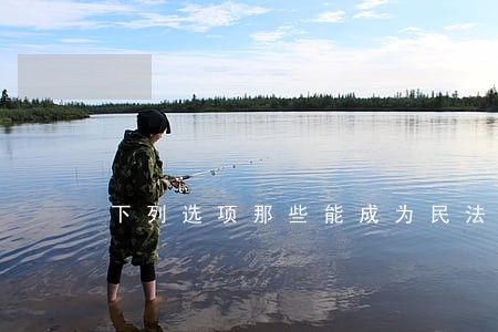 下列选项那些能成为民法上的物 下列选项那些能成为民法上的物