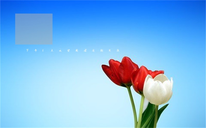 下午5点之前处理逾期欠款 下午5点之前处理逾期欠款