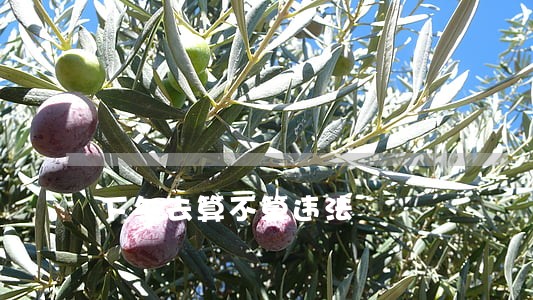 下午去算不算违法 下午去算不算违法