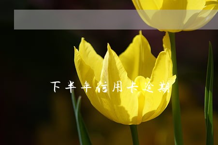 下半年信用卡逾期 下半年信用卡逾期