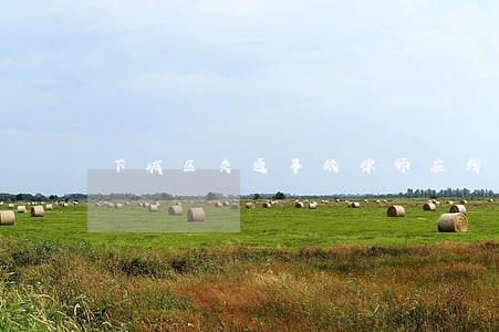 下城区交通事故律师在线咨询 下城区交通事故律师在线咨询