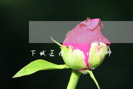 下城区债务纠纷律师