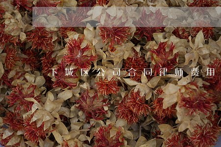 下城区公司合同律师费用