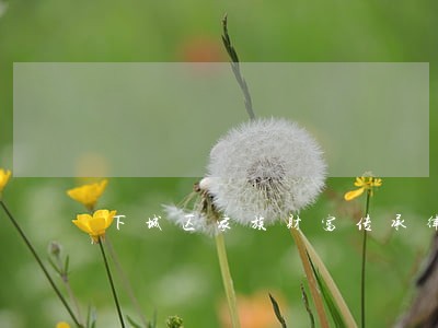 下城区家族财富传承律师排名 下城区家族财富传承律师排名