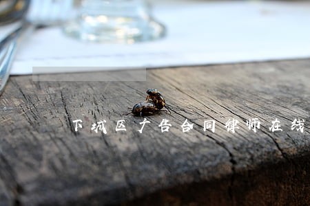 下城区广告合同律师在线 下城区广告合同律师在线