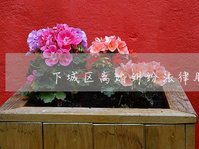 下城区离婚纠纷法律服务律师地址 下城区离婚纠纷法律服务律师地址