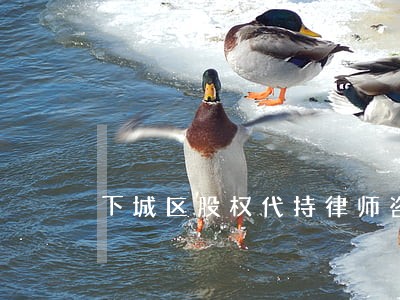 下城区股权代持律师咨询