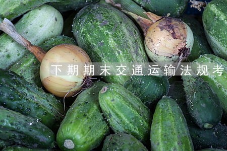 下期期末交通运输法规考试题 下期期末交通运输法规考试题