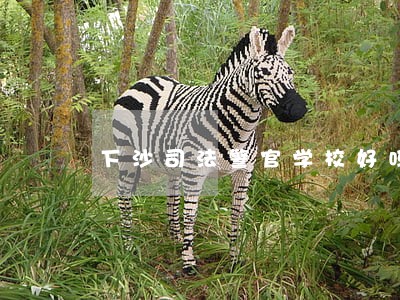 下沙司法警官学校好吗