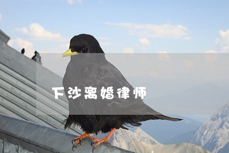 下沙离婚律师 下沙离婚律师