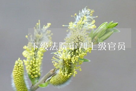 下级法院审判上级官员 下级法院审判上级官员