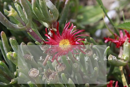 下花园区工商查询在线律师 下花园区工商查询在线律师