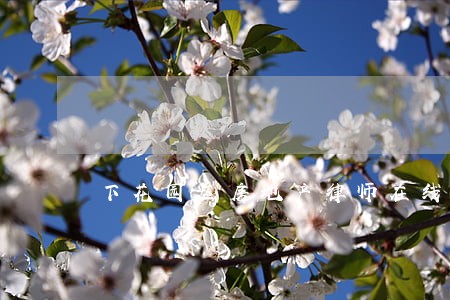 下花园区房地产律师在线咨询 下花园区房地产律师在线咨询