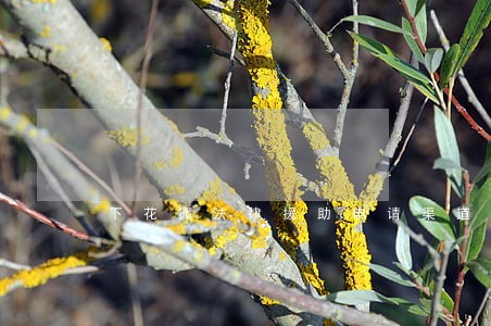 下花园法律援助申请渠道 下花园法律援助申请渠道