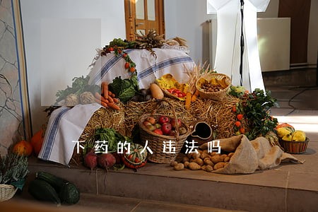 下药的人违法吗 下药的人违法吗