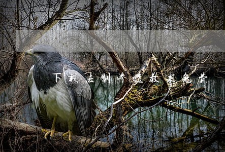 下载法制渗透教案免费 下载法制渗透教案免费