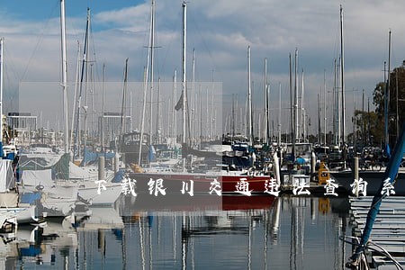 下载银川交通违法查询系统