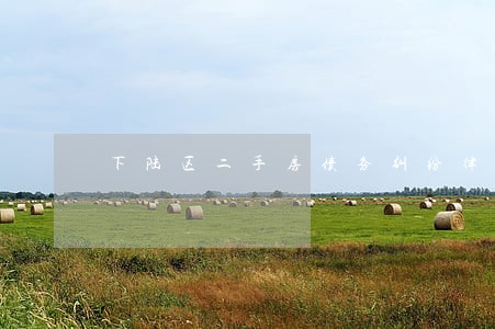 下陆区二手房债务纠纷律师