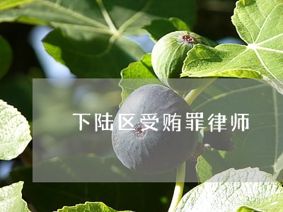 下陆区受贿罪律师