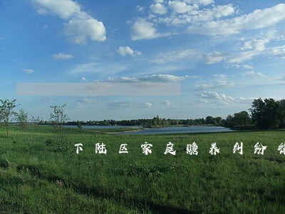 下陆区家庭赡养纠纷律师 下陆区家庭赡养纠纷律师
