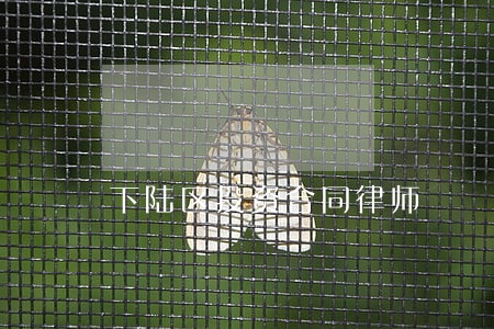 下陆区投资合同律师 下陆区投资合同律师