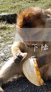 下陆区说我试试律师 下陆区说我试试律师